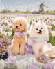 Glitter Pooch Harness ชุดรัดอก สายจูง เสื้อผ้า สุนัข, หมา, แมว, สัตว์เลี้ยง พร้อม สายจูง รุ่น Blushing Tulip Girl