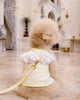 Glitter Pooch Harness ชุดรัดอก สายจูง เสื้อผ้า สุนัข, หมา, แมว, สัตว์เลี้ยง พร้อม สายจูง รุ่น Little Duke Wings - Butter Cream