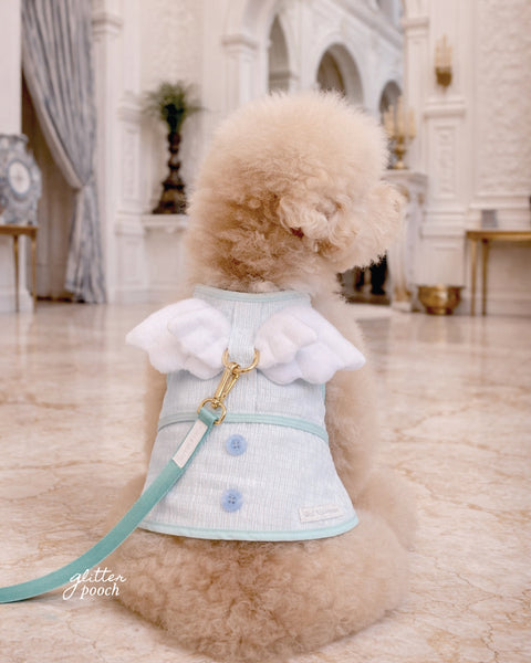 Glitter Pooch Harness ชุดรัดอก สายจูง เสื้อผ้า สุนัข, หมา, แมว, สัตว์เลี้ยง พร้อม สายจูง รุ่น Little Duke Wings - Mint Sky