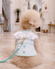 Glitter Pooch Harness ชุดรัดอก สายจูง เสื้อผ้า สุนัข, หมา, แมว, สัตว์เลี้ยง พร้อม สายจูง รุ่น Little Duke Wings - Mint Sky