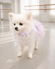 Glitter Pooch Harness ชุดรัดอก สายจูง เสื้อผ้า สุนัข, หมา, แมว, สัตว์เลี้ยง พร้อม สายจูง รุ่น Étoile Tulle Ballet - Rainbow