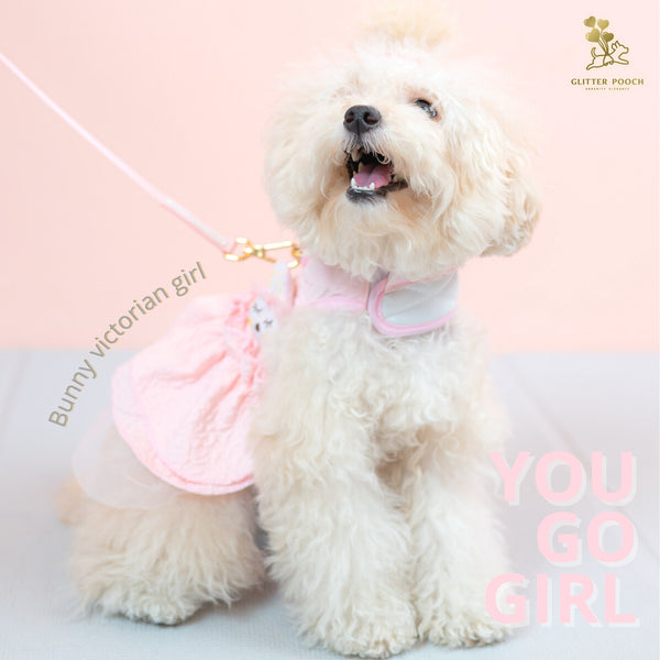 Glitter Pooch ชุดรัดอก สายจูง เสื้อผ้า สุนัข, หมา, แมว, สัตว์เลี้ยง พร้อม สายจูง รุ่น Lady Victorian Pink - GLITTER POOCH DOG & CAT HARNESS