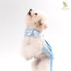 Glitter Pooch Harness ชุดรัดอก สายจูง เสื้อผ้า สุนัข, หมา, แมว, สัตว์เลี้ยง พร้อม สายจูง รุ่น Peekaboo Baby Bear Boy - GLITTER POOCH DOG & CAT HARNESS