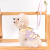 Glitter Pooch Harness ชุดรัดอก สายจูง เสื้อผ้า สุนัข, หมา, แมว, สัตว์เลี้ยง พร้อม สายจูง รุ่น Chico Sherbet Tie - GLITTER POOCH DOG & CAT HARNESS