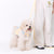 Glitter Pooch Harness ชุดรัดอก สายจูง เสื้อผ้า สุนัข, หมา, แมว, สัตว์เลี้ยง พร้อม สายจูง รุ่น Chico Mustard Tie - GLITTER POOCH DOG & CAT HARNESS