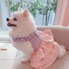 Glitter Pooch ชุดรัดอก สายจูง เสื้อผ้า สุนัข, หมา, แมว, สัตว์เลี้ยง พร้อม สายจูง รุ่น Bunny Lollipop Girl - GLITTER POOCH DOG & CAT HARNESS