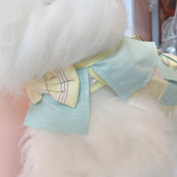 Glitter Pooch Harness ชุดรัดอก สายจูง เสื้อผ้า สุนัข, หมา, แมว, สัตว์เลี้ยง พร้อม สายจูง รุ่น Mint Pastel Strip - GLITTER POOCH DOG & CAT HARNESS