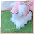Glitter Pooch Harness ชุดรัดอก สายจูง เสื้อผ้า สุนัข, หมา, แมว, สัตว์เลี้ยง พร้อม สายจูง รุ่น Mini Coco - GLITTER POOCH DOG & CAT HARNESS