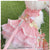 Glitter Pooch ชุดรัดอก สายจูง เสื้อผ้า สุนัข, หมา, แมว, สัตว์เลี้ยง พร้อม สายจูง รุ่น Romantic Vacay Pink - GLITTER POOCH DOG & CAT HARNESS