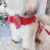 Glitter Pooch Harness ชุดรัดอก สายจูง เสื้อผ้า สุนัข, หมา, แมว, สัตว์เลี้ยง พร้อม สายจูง รุ่น White Polar X'mas Boy - GLITTER POOCH DOG & CAT HARNESS