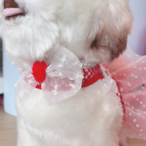 Glitter Pooch Harness ชุดรัดอก สายจูง เสื้อผ้า สุนัข, หมา, แมว, สัตว์เลี้ยง พร้อม สายจูง รุ่น White Polar X'mas Girl - GLITTER POOCH DOG & CAT HARNESS