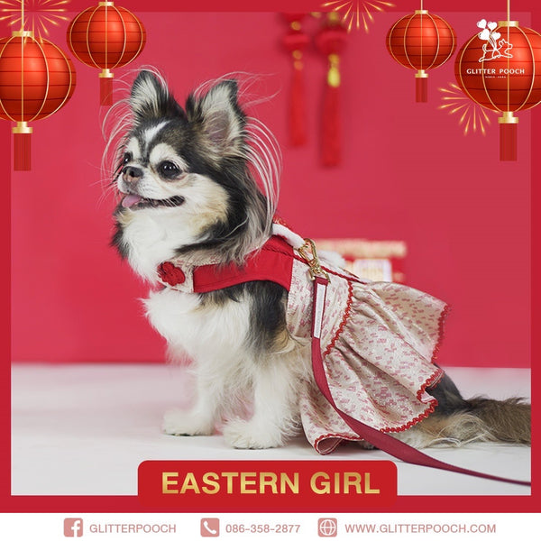 Glitter Pooch Harness ชุดรัดอก สายจูง เสื้อผ้า สุนัข, หมา, แมว, สัตว์เลี้ยง พร้อม สายจูง รุ่น New Eastern Girl - GLITTER POOCH DOG & CAT HARNESS